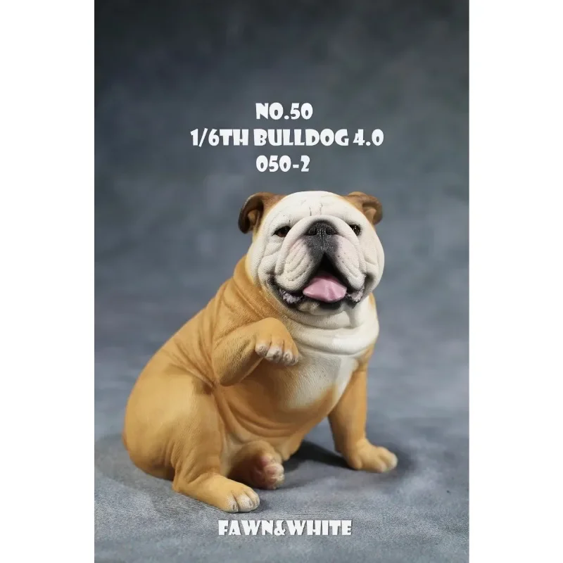 JXK 1/6 skala symulowane zwierzęta buldog zabawki Model uśmiechnięta podnosząca ręka lalka z żywicy dla 12 cali kolekcje meble do wyświetlania — zdjęcie 7