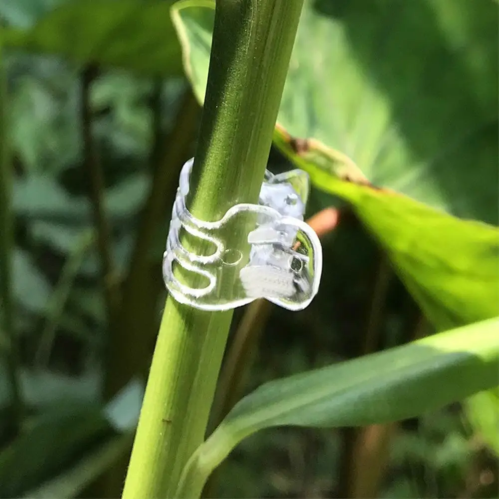 50Pcs Transparent 6 Claws Orchid Clips Plastic Butterfly Flowers Support Clear Fixer For Garden Vine Stem Plants Climbing