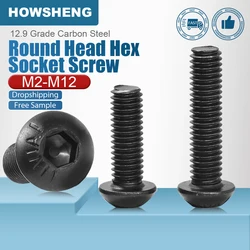 HOWSHENG 2-50개 육각 소켓 버튼 둥근 머리 나사 볼트 M2 M2.5 M3 M4 M5 M6 M8 M10 M12 탄소강 검정색 알렌 헤드 나사