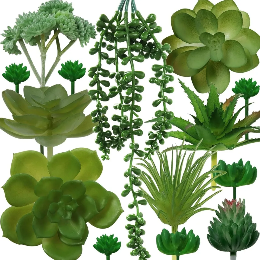 Green Succulents Pl… - image