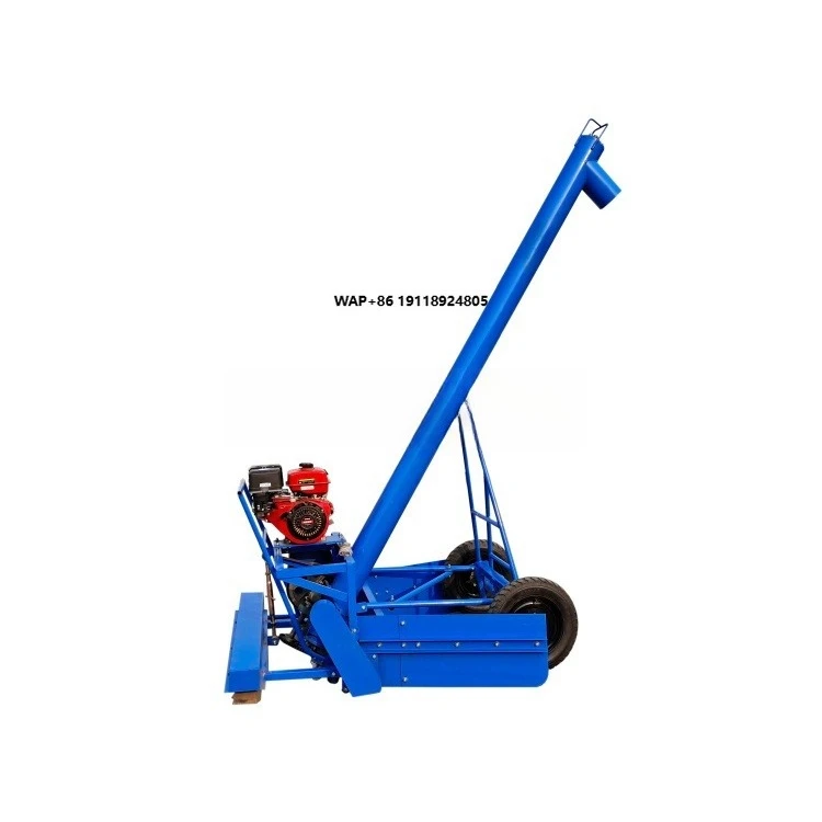 

Grain Corn Grain High Productivity