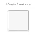 1 Gang Scene Switch