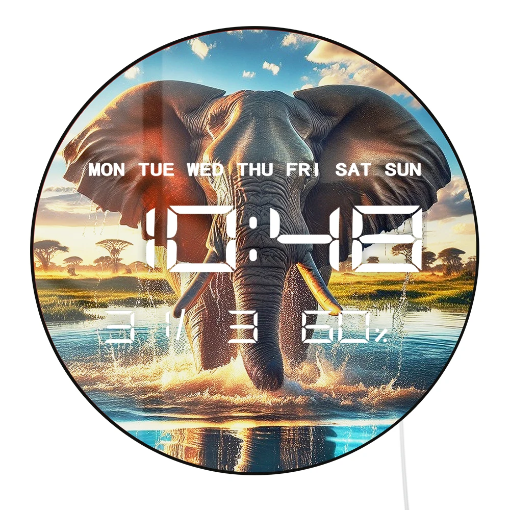 African Elephant El…