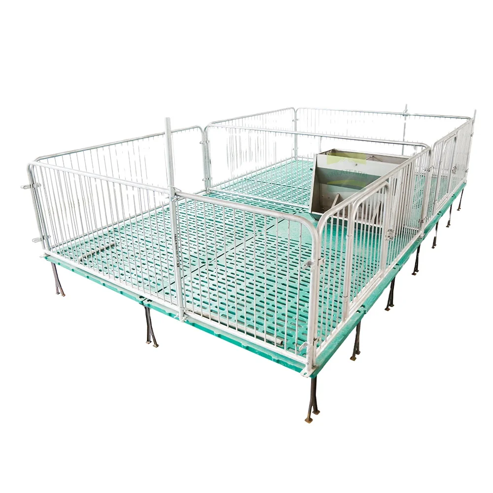 High - Quality Piglet Nursery Crate with Durable Structure for Efficient Pig Rearing