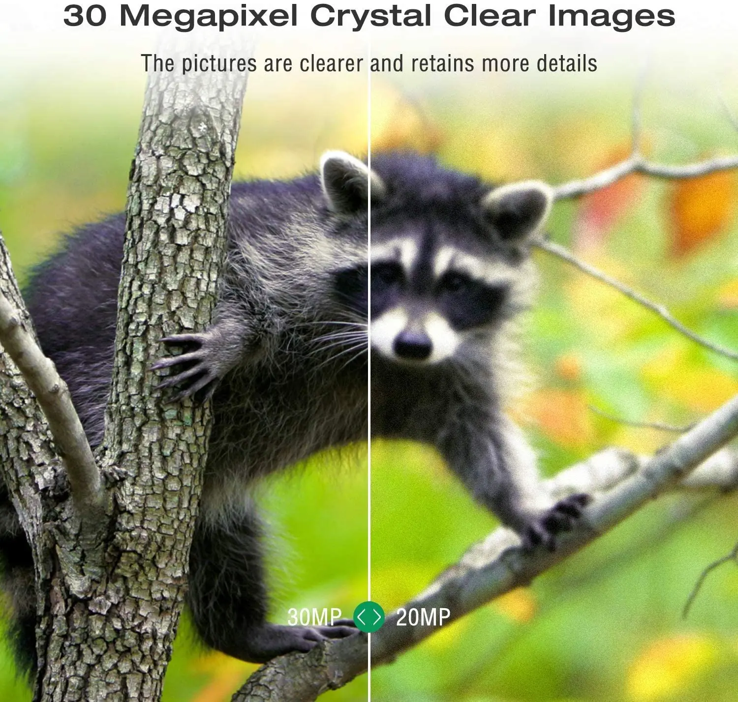 Live-Übertragungs-App Wildkamera Cloud-Service 4G 30MP Kabellose Jagdkameras HC900PRO 0,3S Nachtsicht – Detail 10