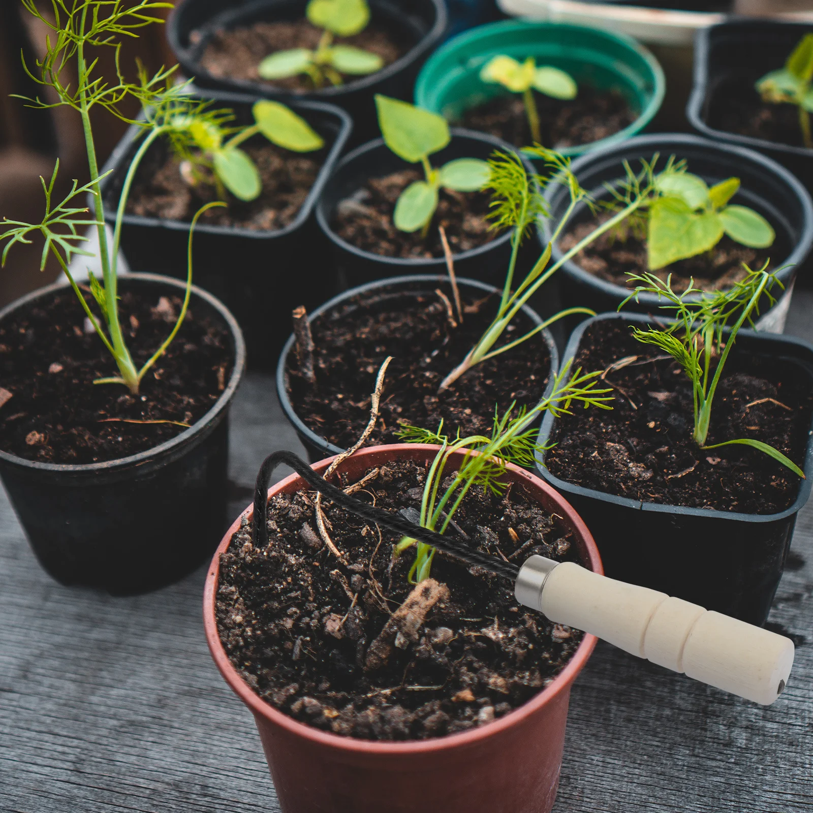 

1 шт. ручной прополочник, прочный ручной инструмент для удаления сорняков, для садоводства, легкое удаление, долговечный садовый инструмент, портативный инструмент для удаления сорняков