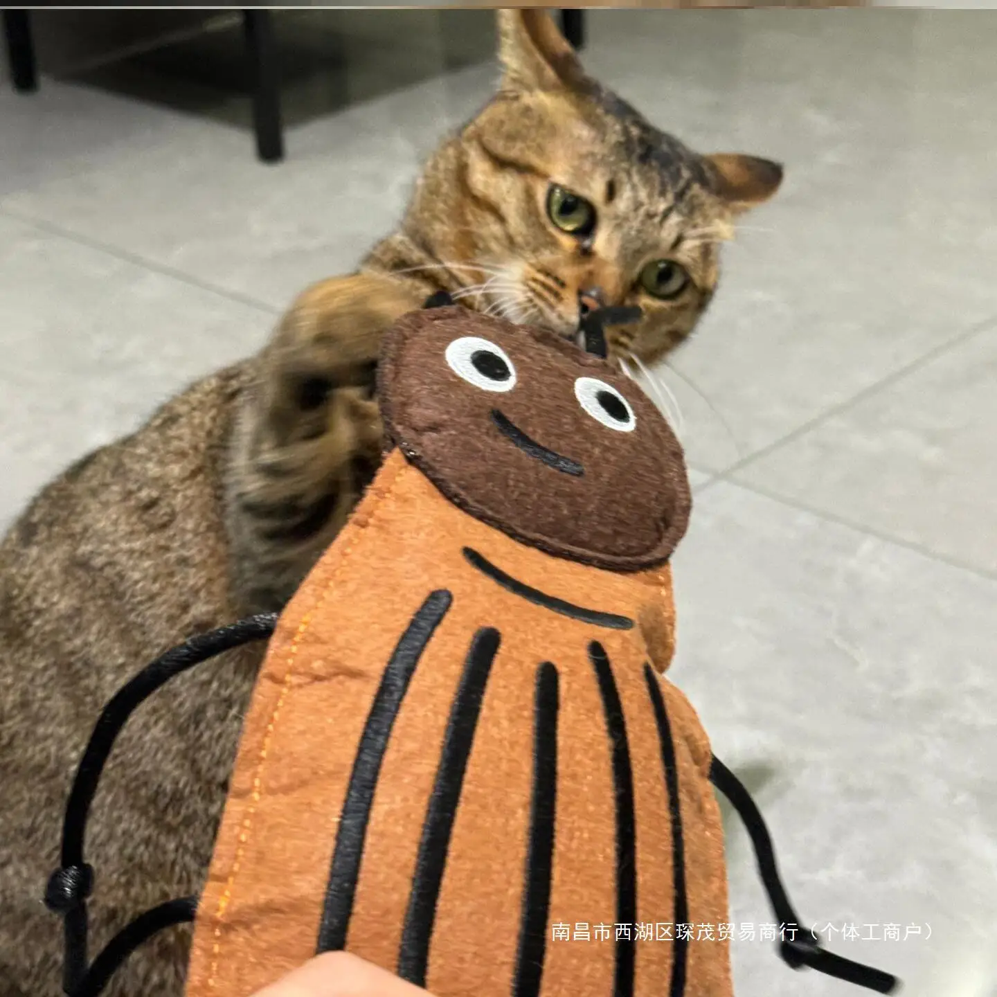 

Fun Cat Cockroach Bite Cat Mint Cat Self-insect Relief Felt Bell Toy Guangdong Wear-resistant Teeth Cat Toys Interactive