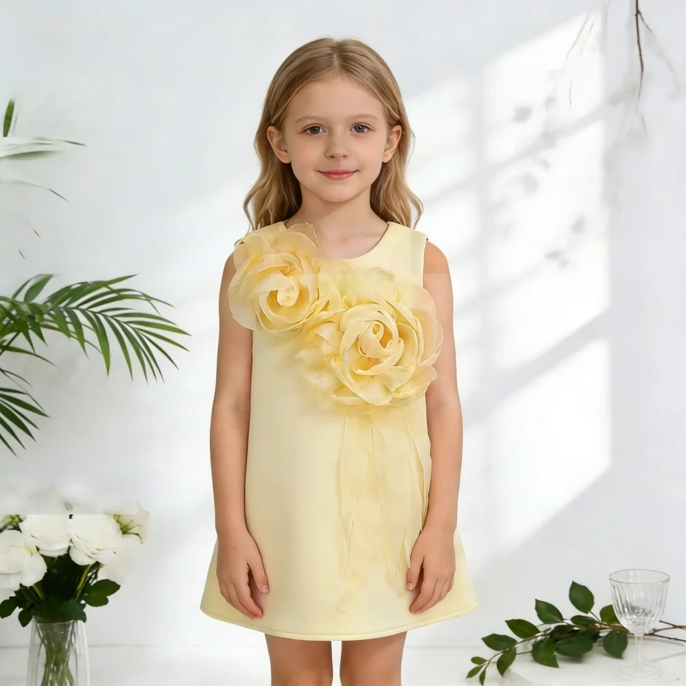 Nouvelle Robe de Princesse Rose Sans Manches pour Filles, Robe de Soirée Élégante avec Fleurs 3D pou