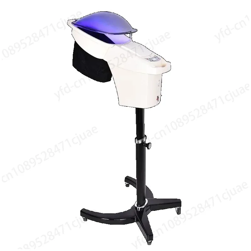 Big Micromist Professional Ultrasonic Micro Mist Ozone Hair Salon Steamer with Stand&Hair SPA Standing O3 Hair Steamer