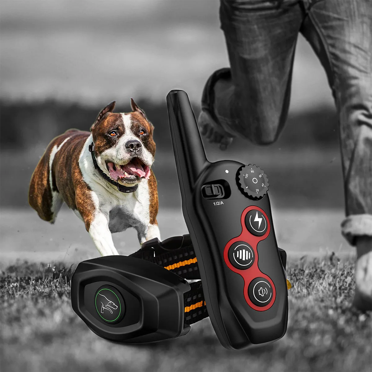 

Dog Training Collar for 10-120lbs Large Medium Small Dogs, Dog Bark Collar Rechargeable E-Collar, Anti Barking Training Collar