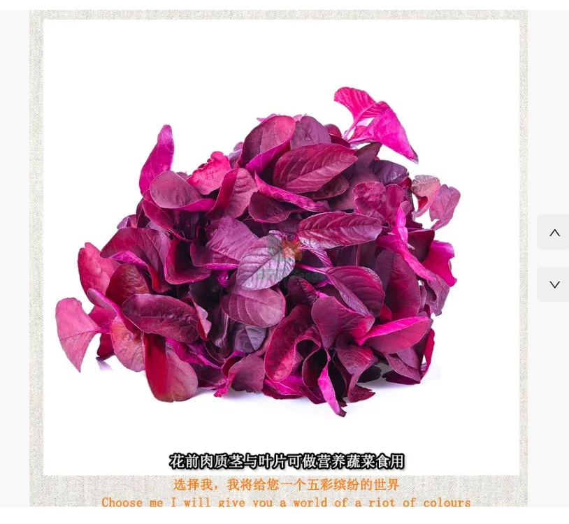 

Automotive Rubber Protectant Anti Cracking Rubber Strip Protection Car Window Rubber Lubricant For Car, SUV