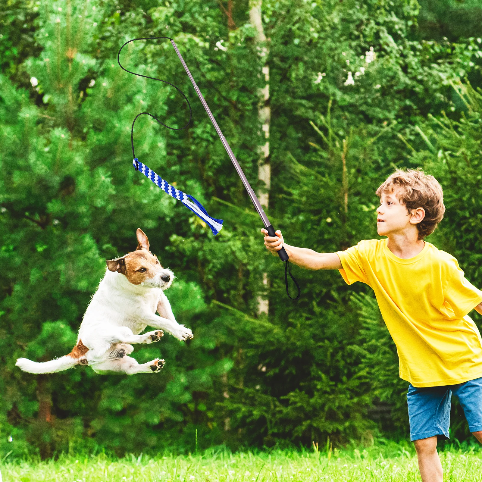 

Extendable Flirt Pole For Dogs Interactive Teaser Wand Training Agility Play Outdoor Stretchable Pet For Puppy Chase Exercise