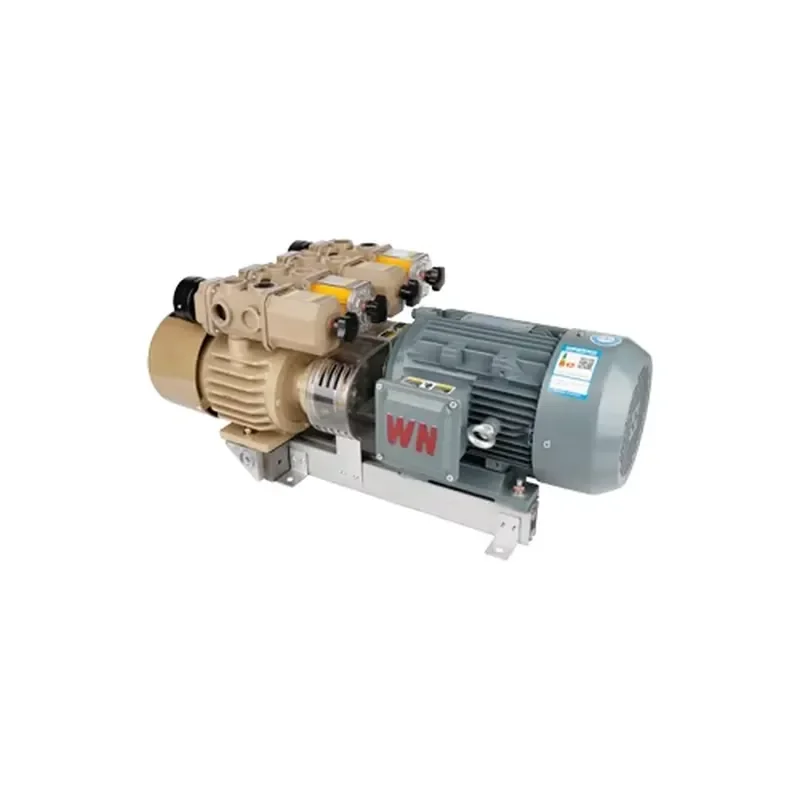 High Performance 810 L/min Oil-free Rotary Vane Vacuum Pump Vacuum Compressor System Vacuum Packaging Drying Clean