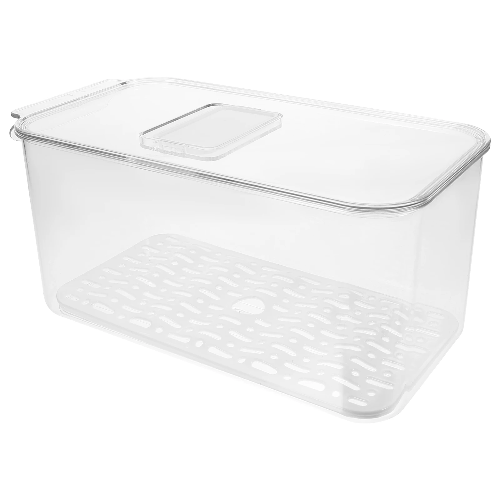

Clear Refrigerator Storage Box Fridge Fruit Container Crisper Vegetable The Pet Drainage