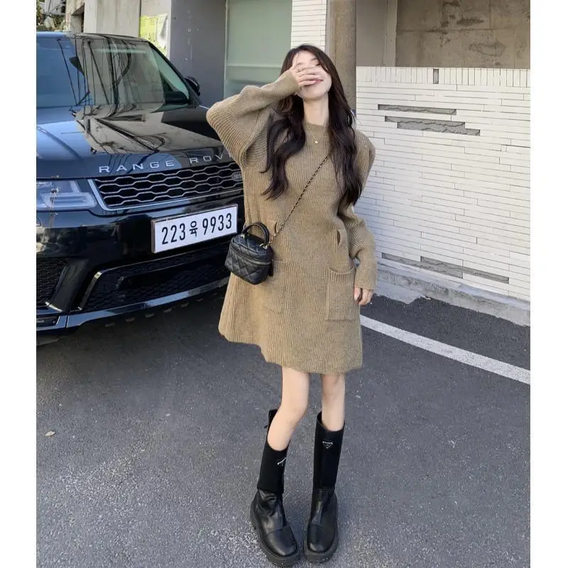 Women Puff Sleeve Textured Fabric Pocket  Long Sleeve Mini Dress