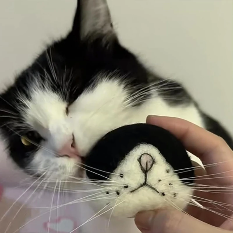 القط ويسكي تخزين ورأى مغناطيس الثلاجة شعيرات القط جمع القط Vibrissae تذكار الحيوانات الأليفة هدية تذكارية ديكور المنزل