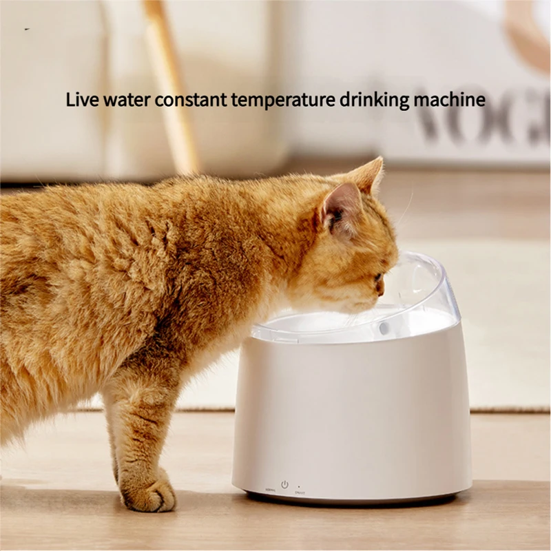 Top Choice (Benefit-focused & keyword-forward): thumbnail