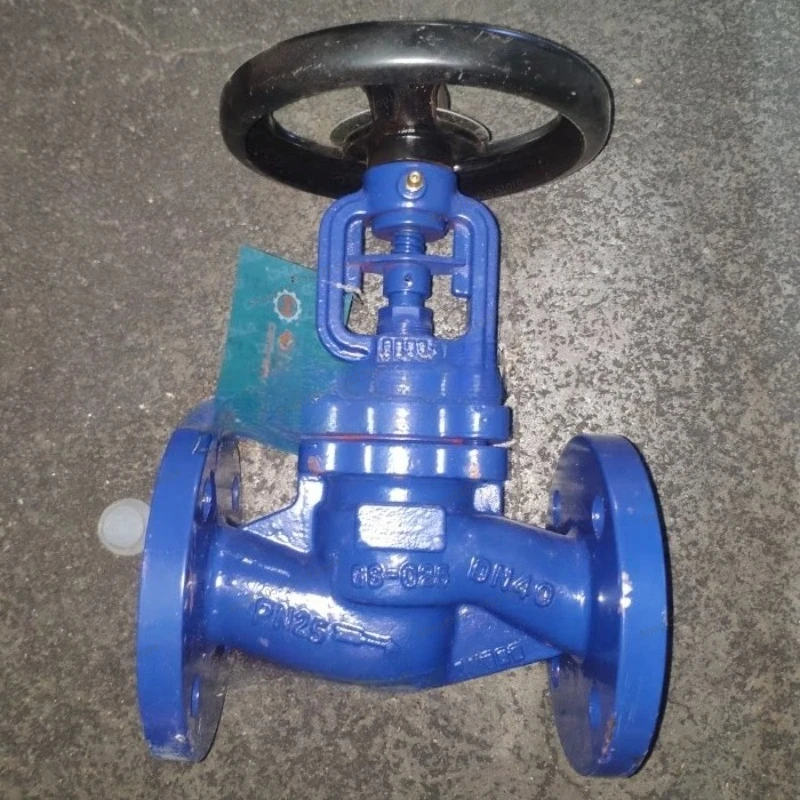 For Valve Bellows Globe Valve German Standard Bellows Globe Valve WJ41H-25C DN50 DN65