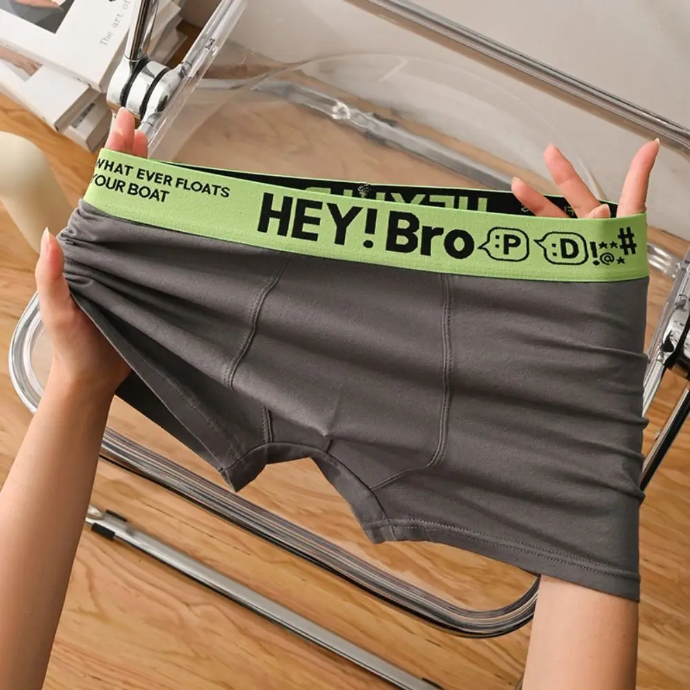 

4PCS Letter Printed Men's Cotton Panties Thin Mid Waist Seamless Underwear for Men Underpants Briefs Male Shorts Boxer Gifts
