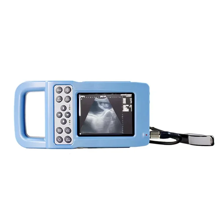 BTS N41 veterinary B ultrasound machine 5.7inch HD screen convex ractal probe cattle sheep pet livestock animal & veterinary