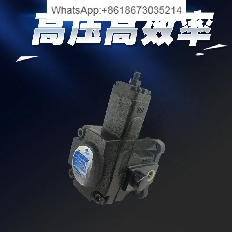 VPV1/2-8/12/15/20/30 - 35-55-70 - 20/10 Variable Vane Pump