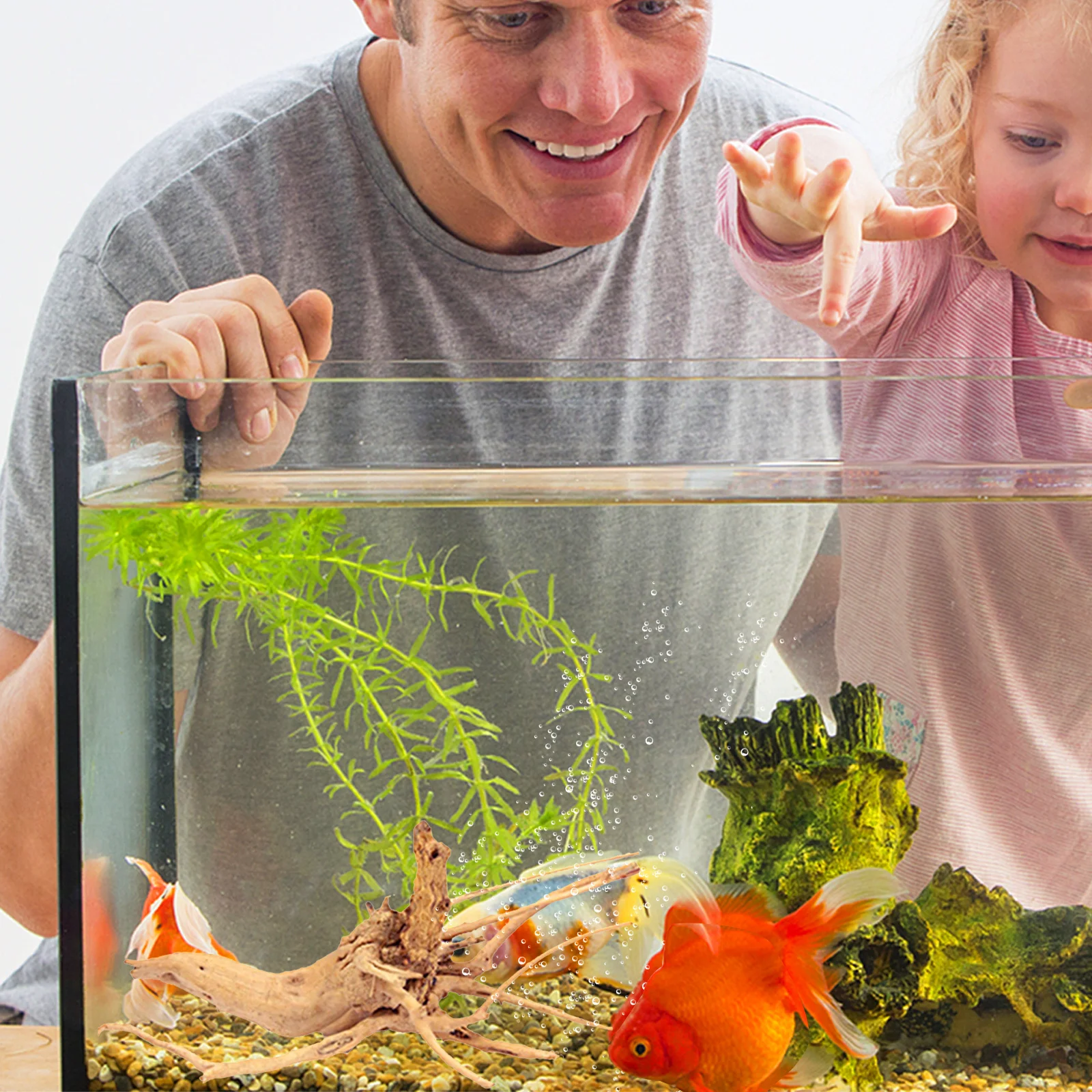 Decoración de Madera Flotante de 15-20 cm, Rama de Madera Natural Real para Acuario de Agua Dulce, Anclaje de Musgo, Estilo Aleatorio