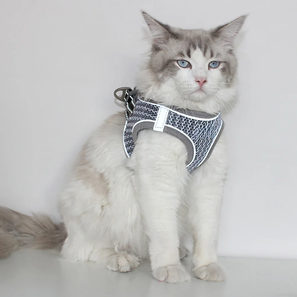 

Cat Vest Harness and Leash Set Grey Size Xl Reflective Breathable Pet Chest Strap Outdoor Secure Comfortable Harness