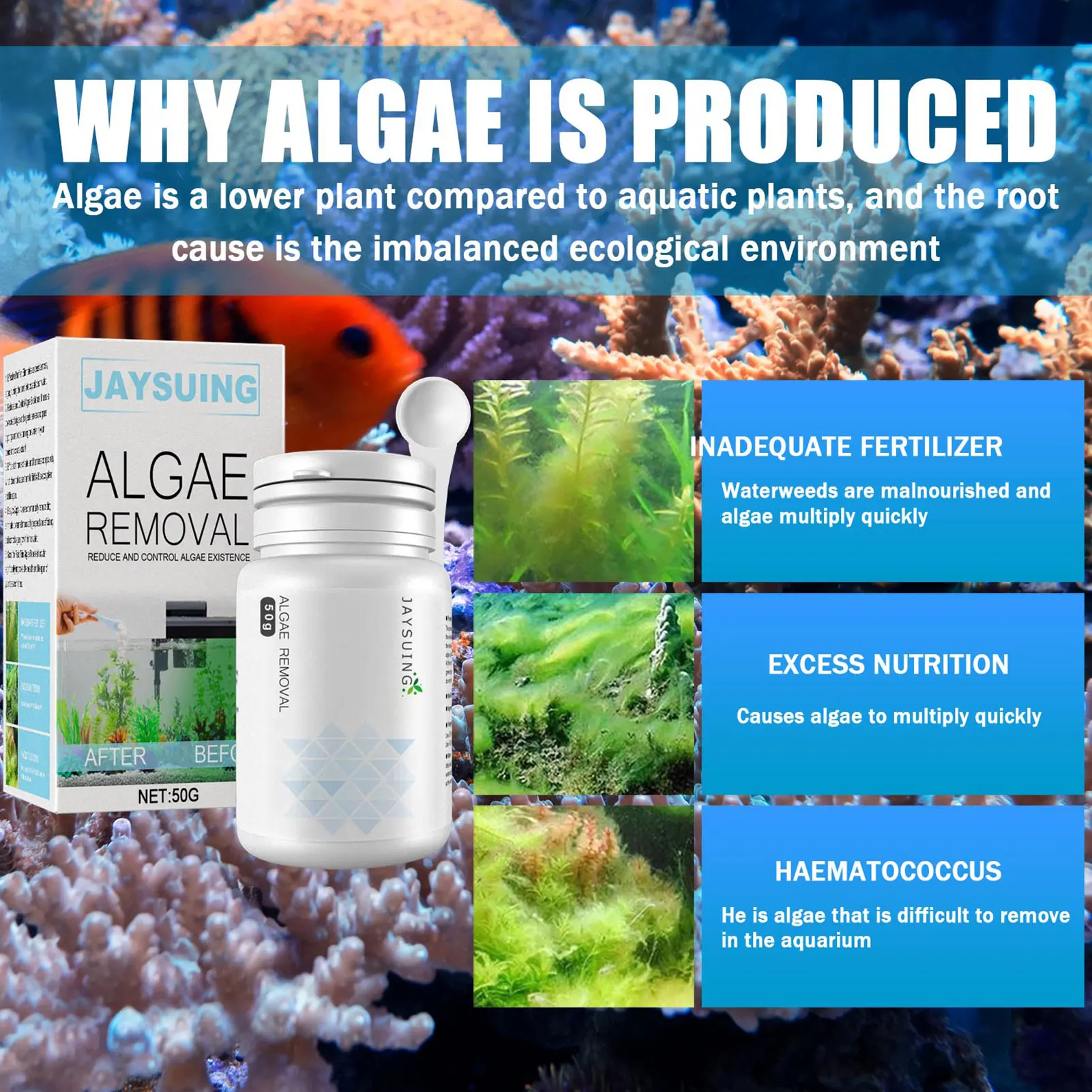 Algae Removal Pond Cleaner High Efficient Algae Repellents Agent Purifier Reduce And Control Algae Existence Fish Tank Cleaning