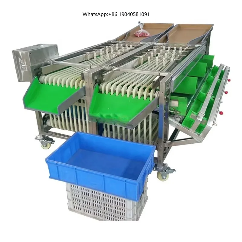 Long Service Life Sorting Machine for Dates / Onion Sorting and Grading Machines / Citrus Fruit Sorting Machine
