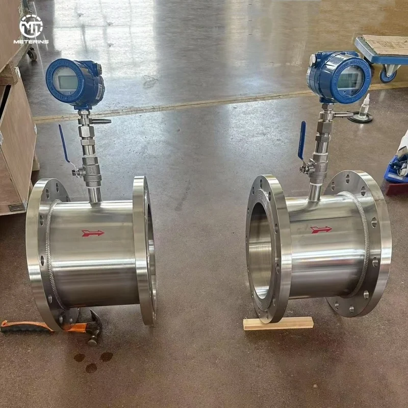 

Digital Thermal Gas Air Mass Flow Meter Stainless Steel for Biogas Plant Renewable Energy Monitoring Boiler Combustion