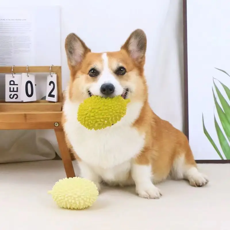 

Simulation Durian Dog Chew Toys Bite Resistant Teeth Sharpening Outdoor Training Dog Toys Interactive Puppy Accessories