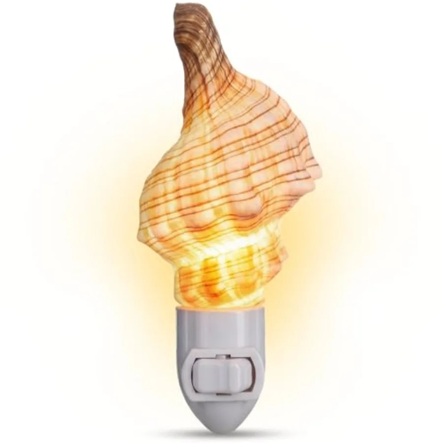 

Seashell Night Light Beach Night Light with Real Sea Shell Light for Bathroom Sea Shell Lamp Seashell Lamp Plug Into Wall