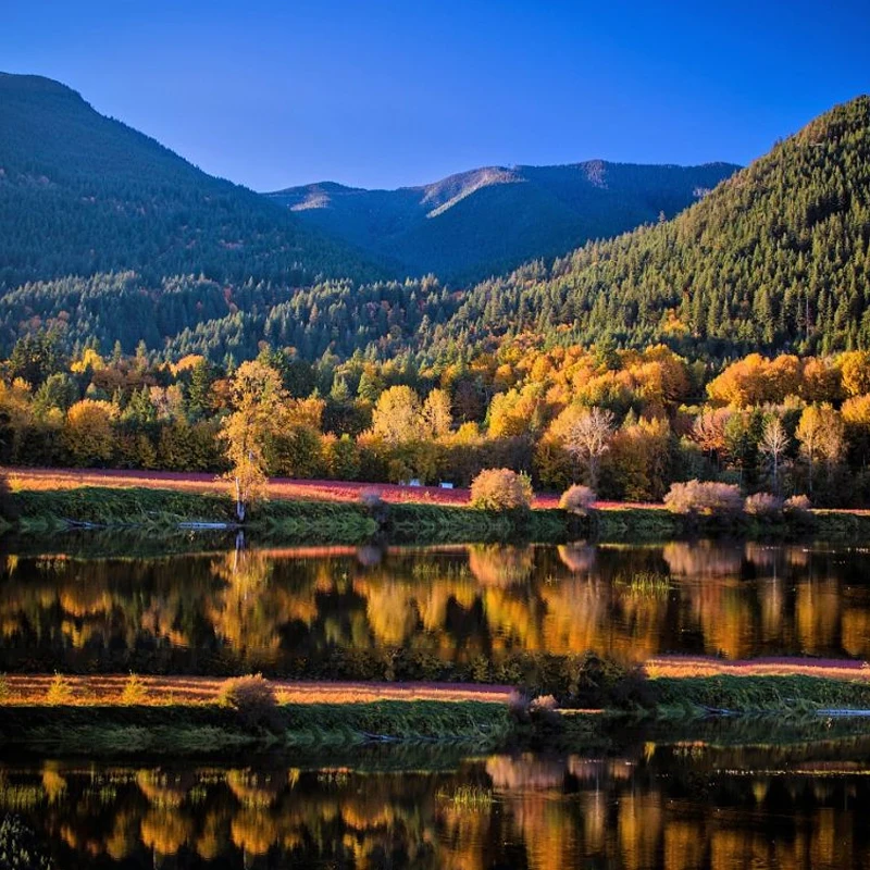 500M Wireless Restaurant Pager System Waterproof Queue Paging Calling System 30 Buzzers for Coffee Shop Fast Food Court