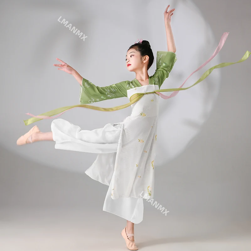 Children's classical dance costume, elegant Hanfu, chest length ripped skirt for girls, long and graceful chiffon dress