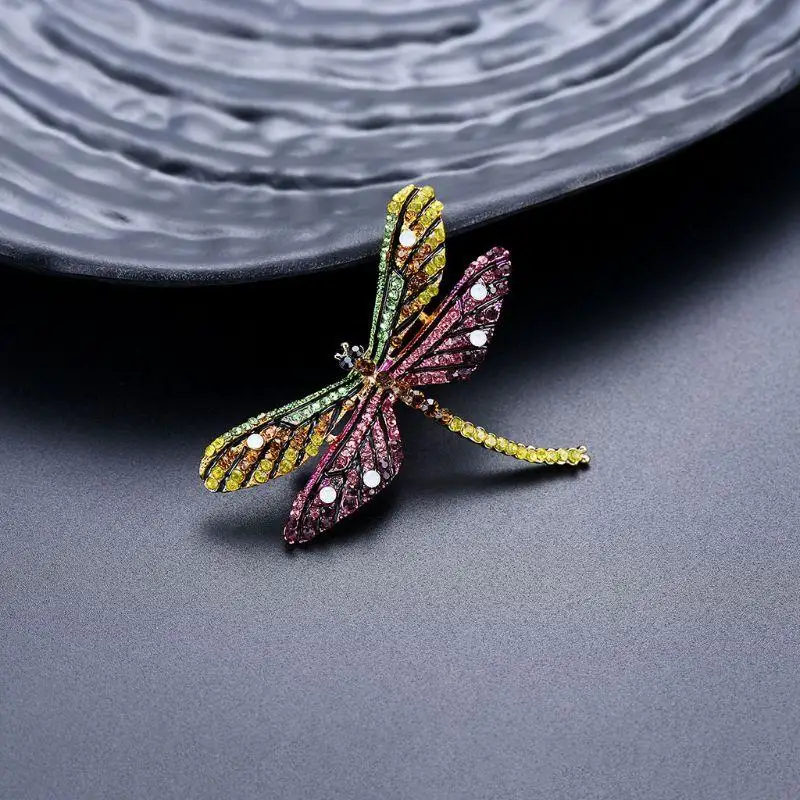 2025 Новые дракоза брошя