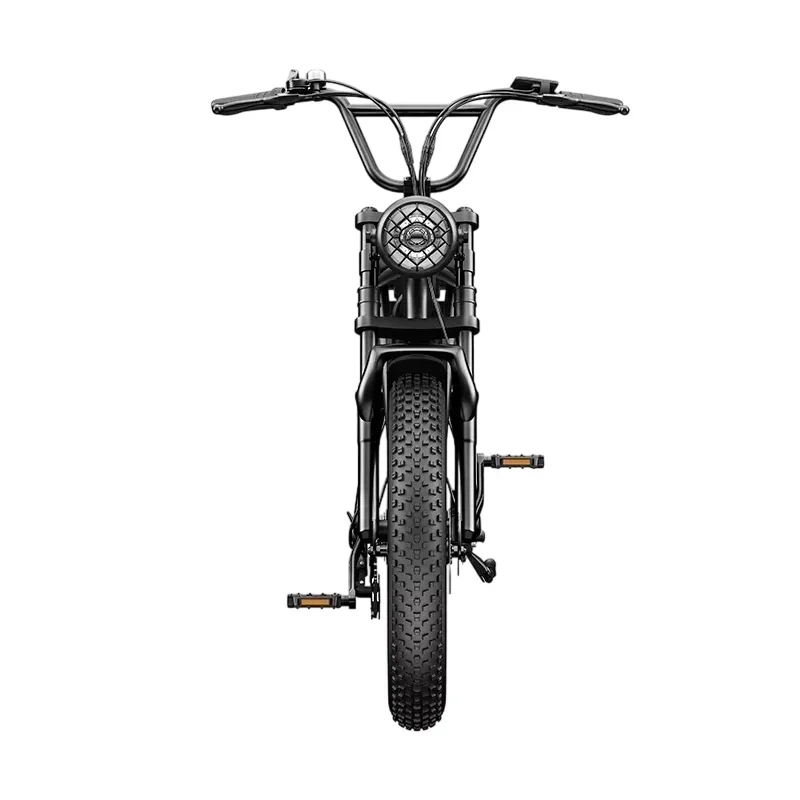 Electric bike C91 powerful 2000w dual motor 48v 20ah lithium battery Electric Bicycle 20 inch fat tire mountain off-road E-bike image 5