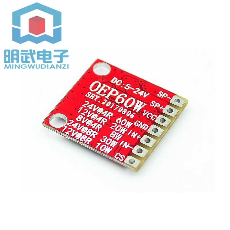 TPA3118 Factory Direct Sales OEP60W Digital Power Amplifier Board Module Mono Class D 12V High Power 45W21W