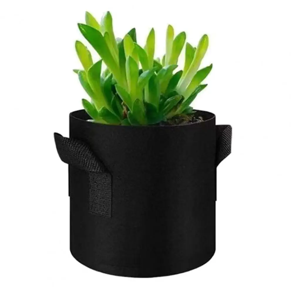 

Planting Bags for Healthy Root Growth Heavy Duty 5 Gallon Non-woven Fabric Grow Bags for Plants Vegetables for Strawberries
