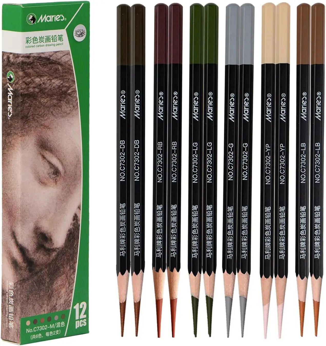

6-Color Charcoal Pencil Set, 12 Pieces, Pastel Chalk for Drawing & Shading, Art Supplies for Adults