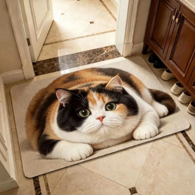 3D Visual Cat Diatomaceous Earth Floor Mat 40x60cm Wear-Resistant Dirt-Resistant Entrance Door Mat Three-Dimensional Foot Mat