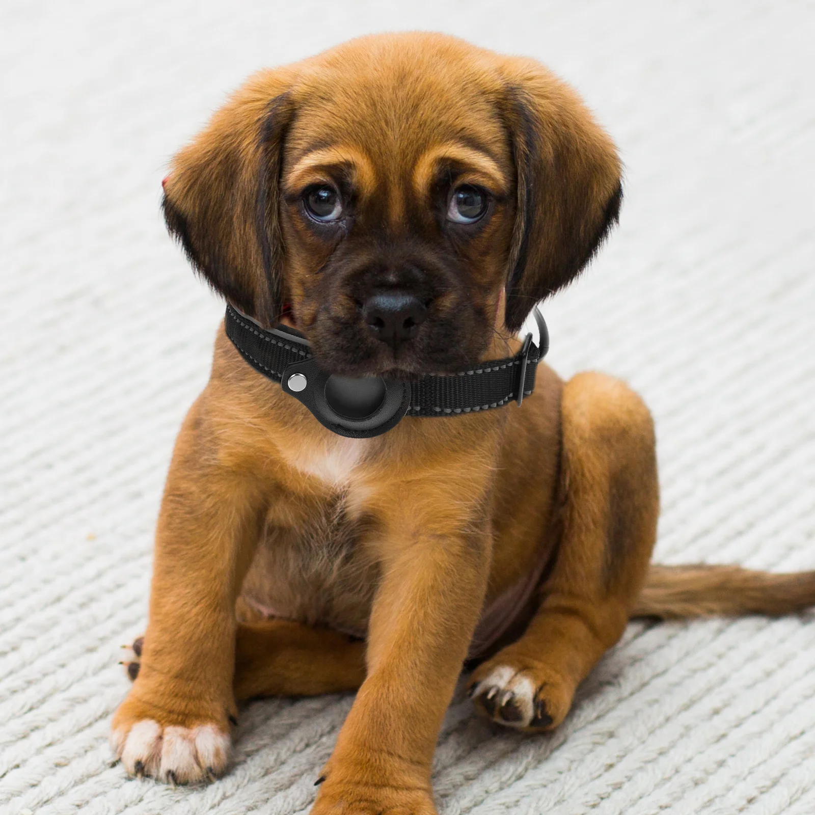 

1pc Pet Collar Protector Reflective Dog Locator Case Compatible With Airtags Black Durable Tracer Holder Pet Supplies