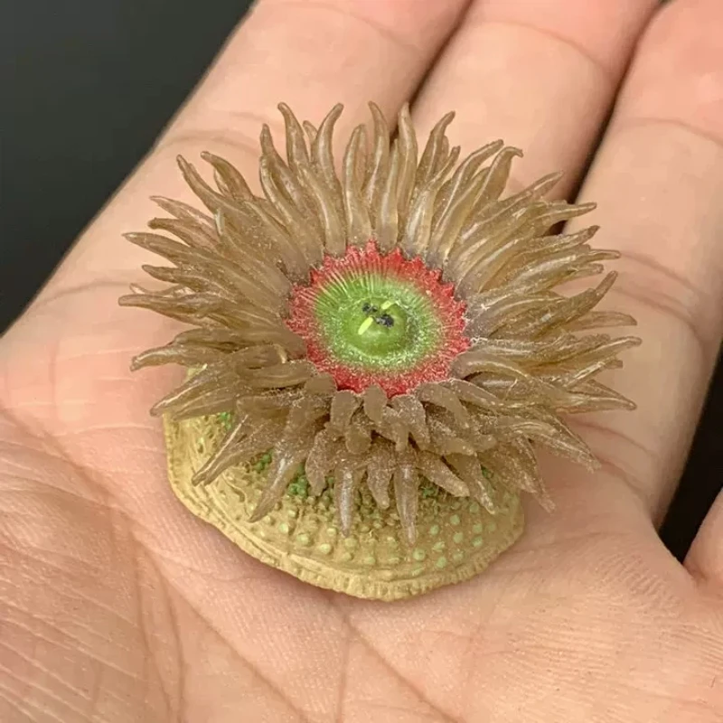 

Capsule Toy Shallow Sea Crab Marine Life Figure Original Color Collectible Pvc Model For Adult Collectors Gift In Stock