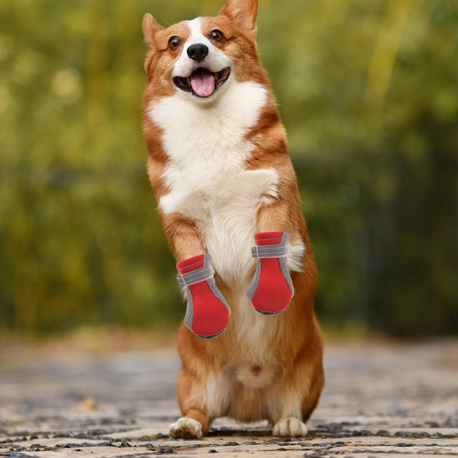 

4Pcs Non-Slip Dog Shoes Stylish Breathable Pet Boots for Small Dogs Indoor Outdoor Protection Mesh Puppy Footwear