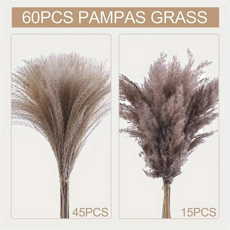 Fofo Seco Pampas Grama, Branco Reed Bouquet, Pequenas Flores Rabbittail, Quarto Boêmio, Casa, Quinta, 17,3 Polegadas, 120Pcs