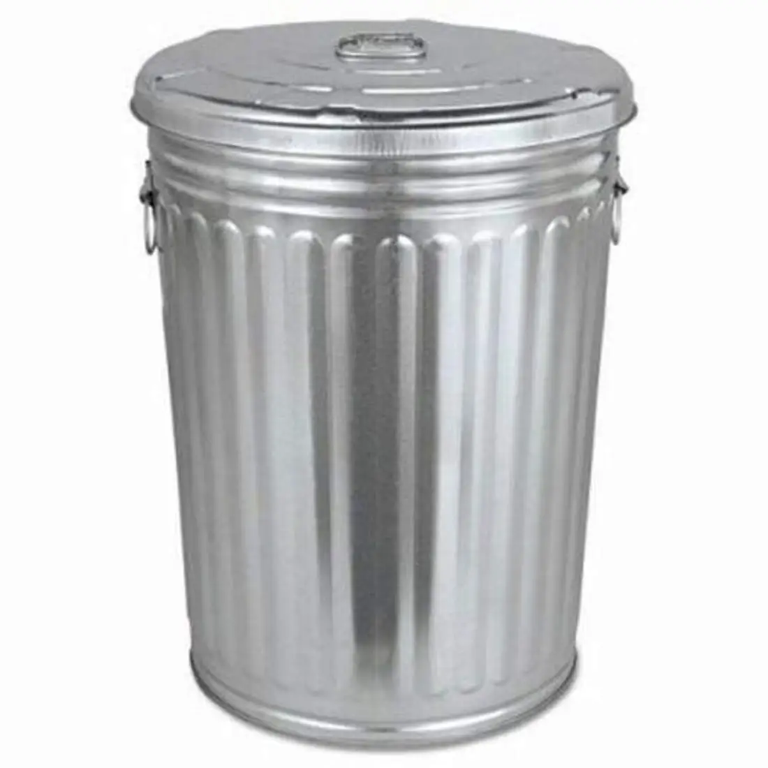 Trash Can with Lid Garbage Waste Basket Bin Keep Protect Guard Animals Easy-Grip Handles Convenient Move Carry Durable 20 Gallon