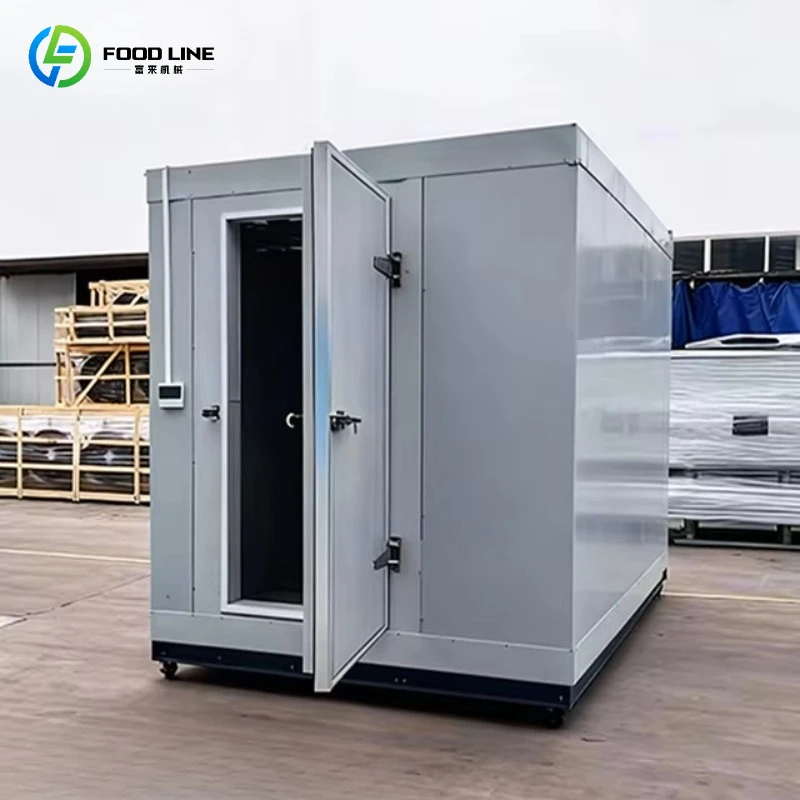 Customized Mobile Cold Room Commercial Cold Storage for Retail Shop Walk-in Freezer Cold Room for Seafood