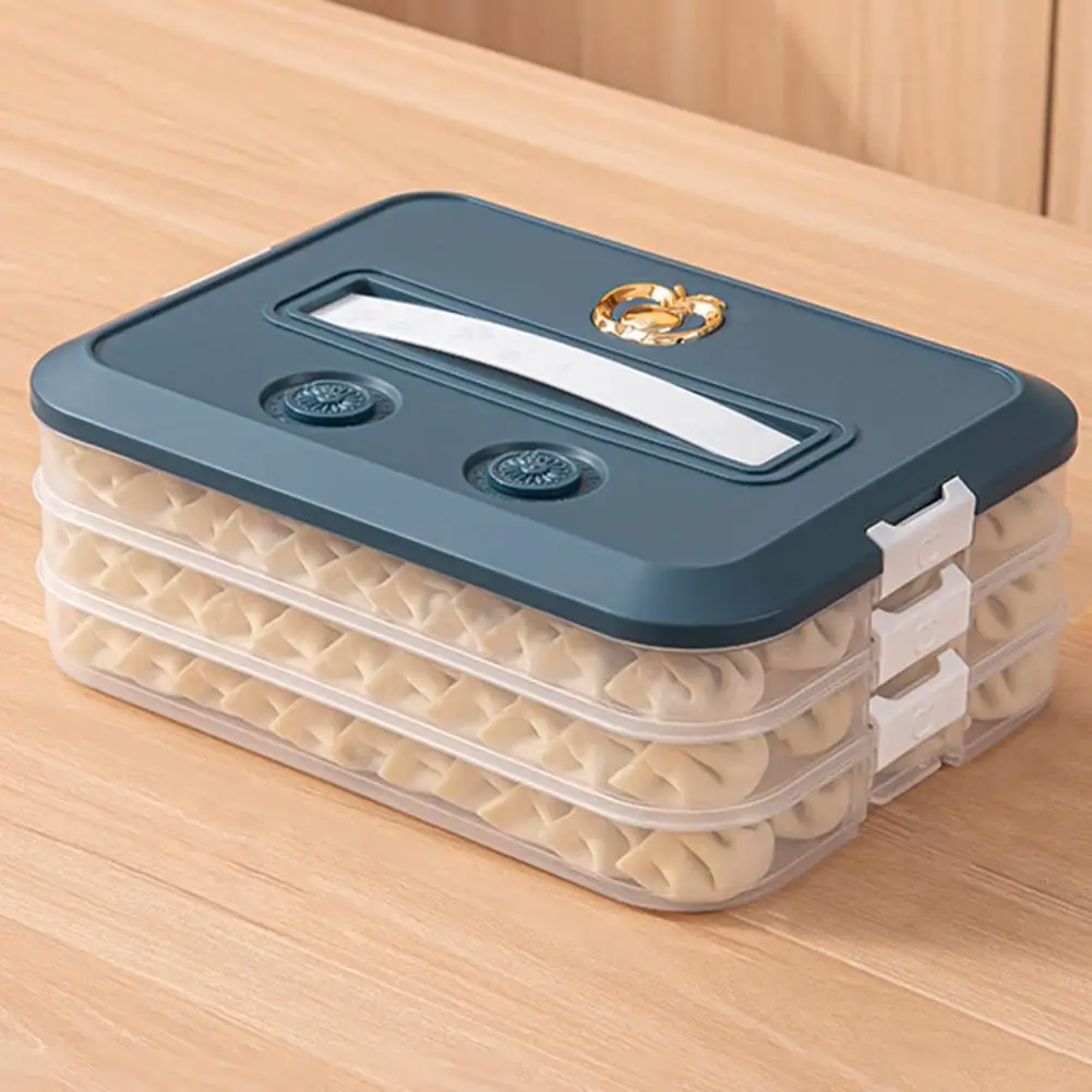 Layered Storage Box Capacity Dumpling Storage Box with Portable Handle Airtight Lid Organize Preserve Wontons for Refrigerator