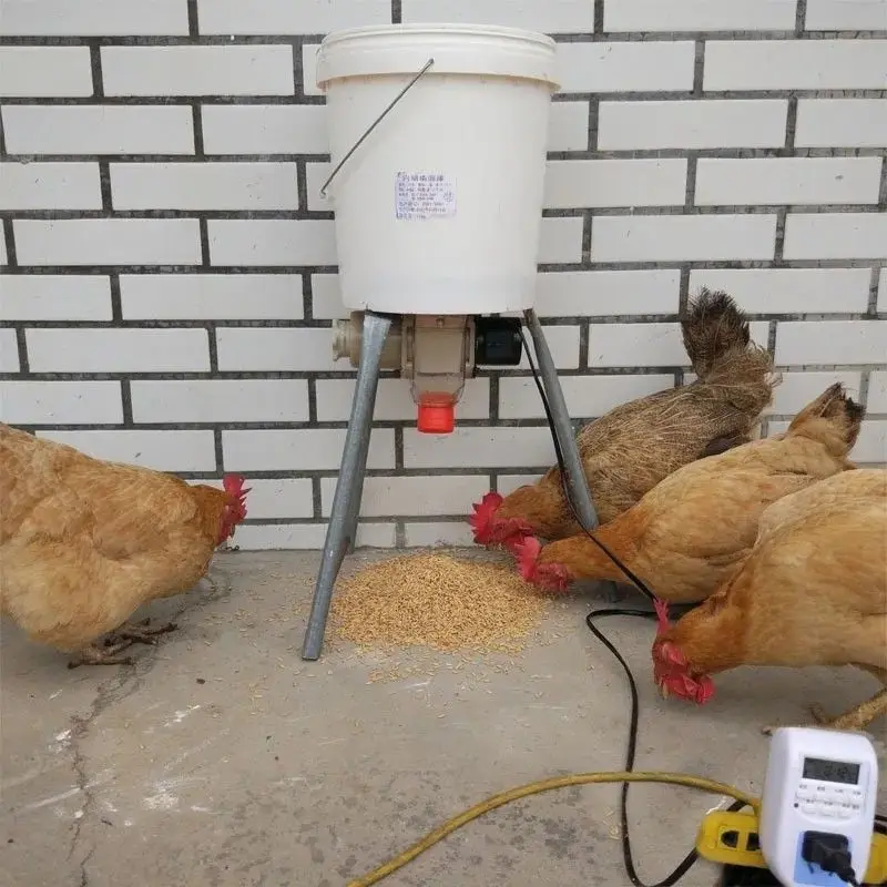 Automatic Poultry Feeder with Timer for Chickens Ducks Pigeons Geese Turtles - Efficient and Convenient