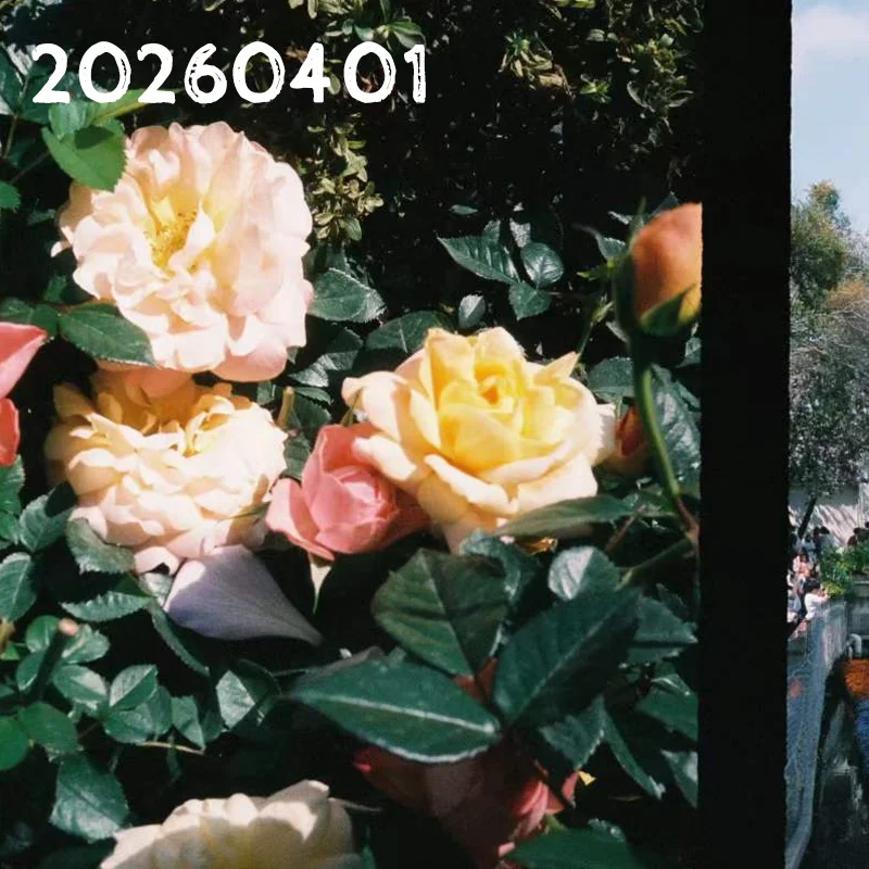 

Чехол для ключей Geely Emgrand из натуральной кожи высшего качества, с застежкой, для тюнинга интерьера автомобиля