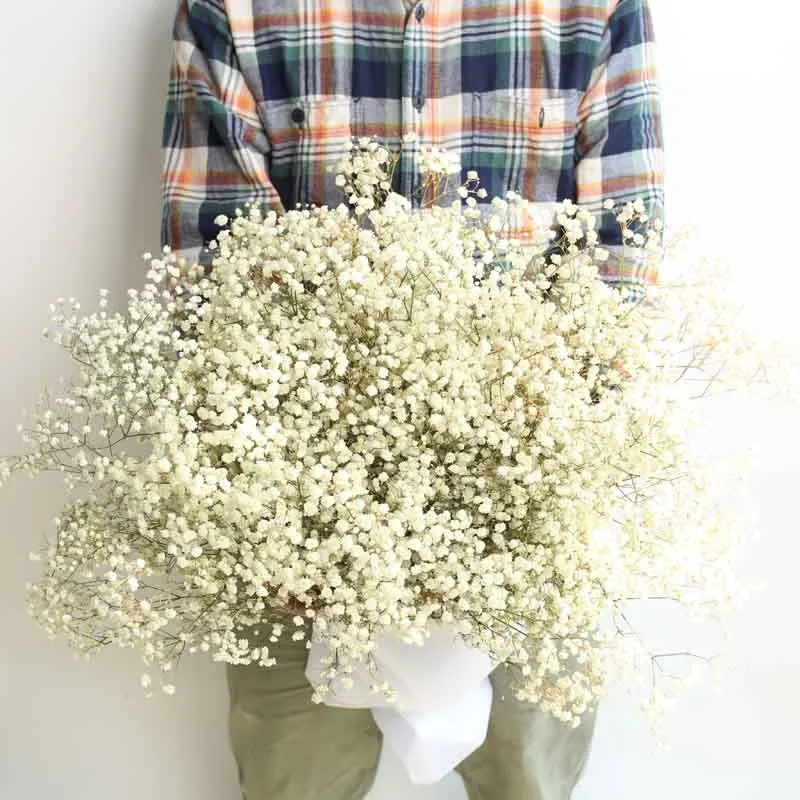Thumbnail 4 - #12 Trending Dried Flowers Right Now